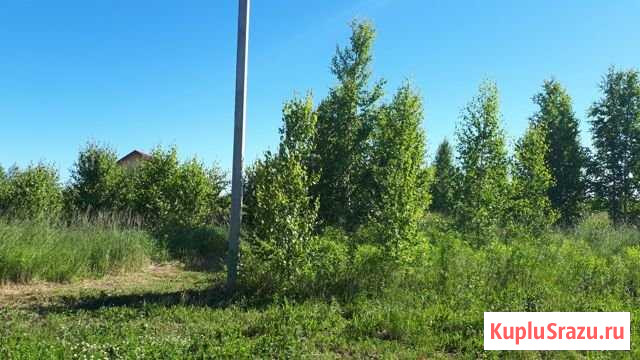 Участок ИЖС 1170 сот. на продажу в Йошкар-Оле Йошкар-Ола - изображение 3