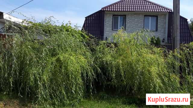 Дом 120 м² на участке 7 сот. на продажу в Похвистнево Похвистнево - изображение 2