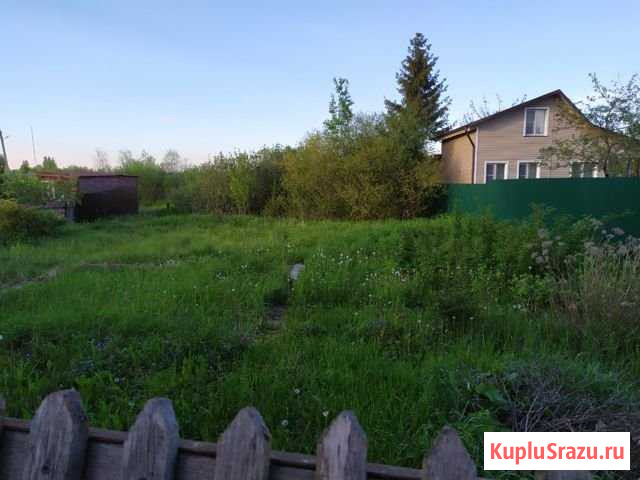 Участок СНТ, ДНП 8 сот. на продажу в Шаховской Шаховская - изображение 1