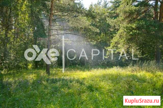 Участок ИЖС 20 сот. на продажу в Одинцово Одинцово - изображение 2