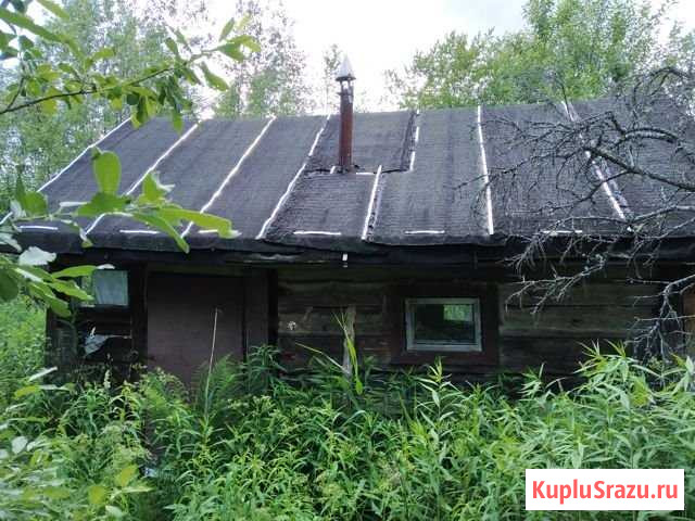 Участок СНТ, ДНП 12 сот. на продажу в Любане Любань - изображение 3