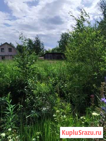 Участок СНТ, ДНП 12 сот. на продажу в Любане Любань - изображение 2