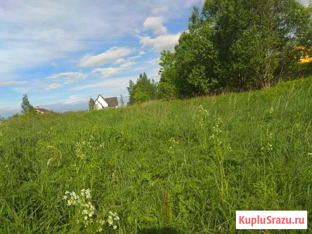 Участок ИЖС 17 сот. на продажу в Петушках Петушки - изображение 2