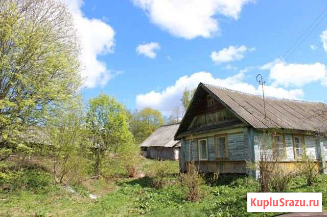 Дом 49 м² на участке 50 сот. на продажу в Пустошке Пустошка - изображение 3