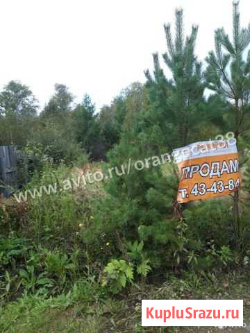 Участок СНТ, ДНП 10 сот. на продажу в Маркове Маркова - изображение 2