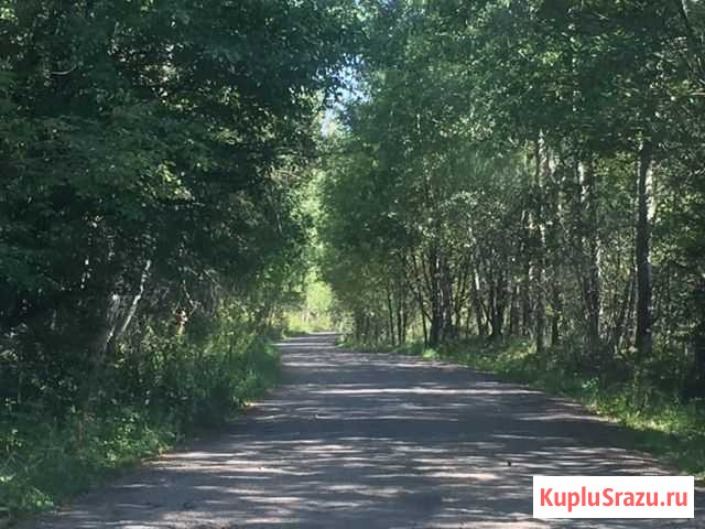 Участок СНТ, ДНП 12 сот. на продажу в Малино Малино - изображение 2