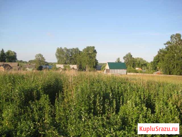 Участок ИЖС 30 сот. на продажу в Яковлевском Яковлевское - изображение 1
