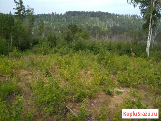 Участок ИЖС 10 сот. на продажу в Иркутске Иркутск - изображение 1