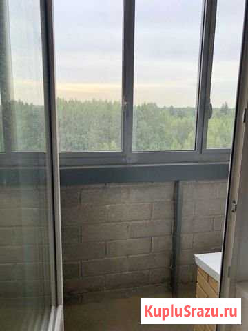 Квартира-студия, 25.4 м², 10/20 эт. в аренду на длительный срок в Новом Девяткино Новое Девяткино - изображение 2