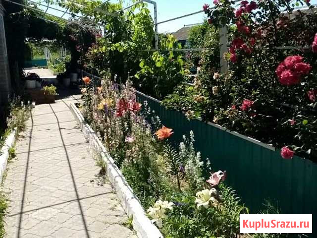 Дом 94 м² на участке 24 сот. в аренду посуточно в Должанской Должанская - изображение 2