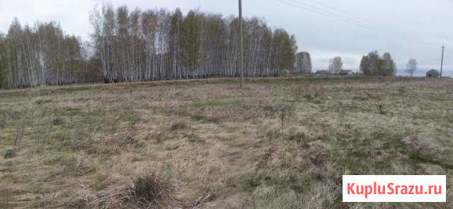 Участок ИЖС 15 сот. на продажу в Долгодеревенском Долгодеревенское - изображение 2