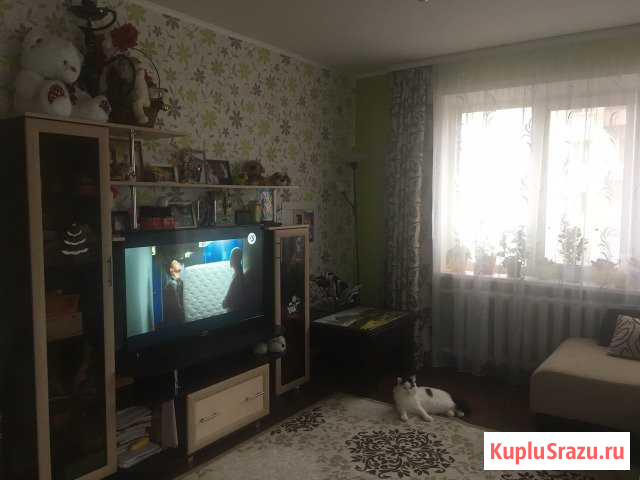 1-комнатная квартира, 29 м², 3/5 эт. на продажу в Чайковском Чайковский - изображение 2