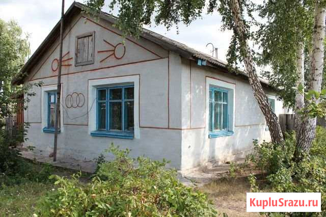 Дом 50 м² на участке 16 сот. на продажу в Камне-на-Оби Камень-на-Оби - изображение 1