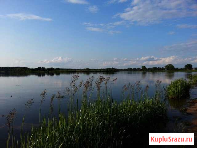 Участок ИЖС 20 сот. на продажу в Редкино Редкино - изображение 2