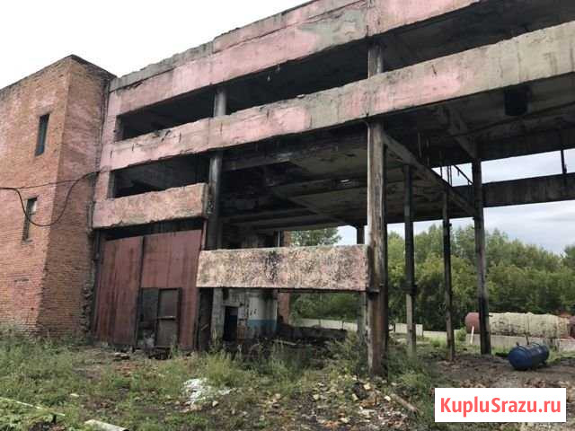 Производственное здание Бийск - изображение 3