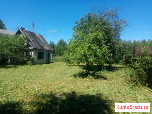 Участок СНТ, ДНП 5 сот. на продажу в Бору Бор - изображение 3