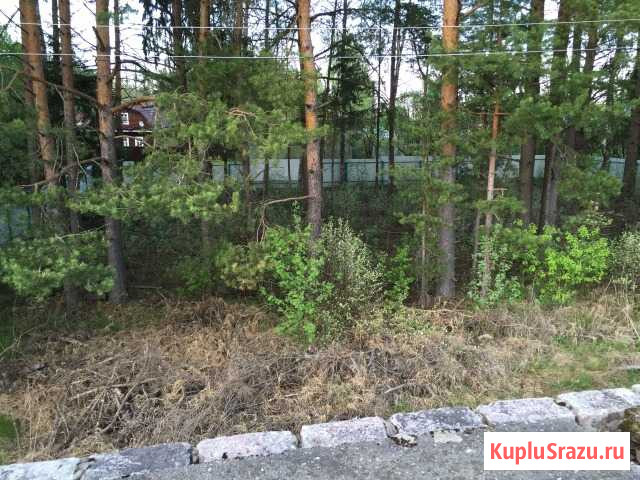 Участок ИЖС 25 сот. на продажу в Кимрах Кимры - изображение 2