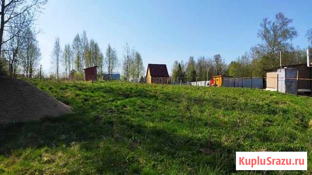 Участок СНТ, ДНП 12 сот. на продажу в Краснозаводске Краснозаводск - изображение 2