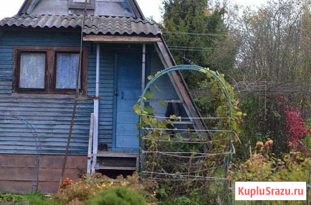 Дача 30 м² на участке 6 сот. на продажу в Редкино Редкино - изображение 1