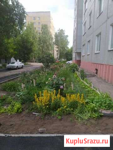 2-комнатная квартира, 50 м², 3/9 эт. на продажу в Барнауле Барнаул - изображение 1