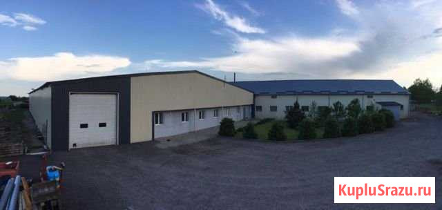 Производственно-складское помещение 3000м2 Калининград - изображение 2