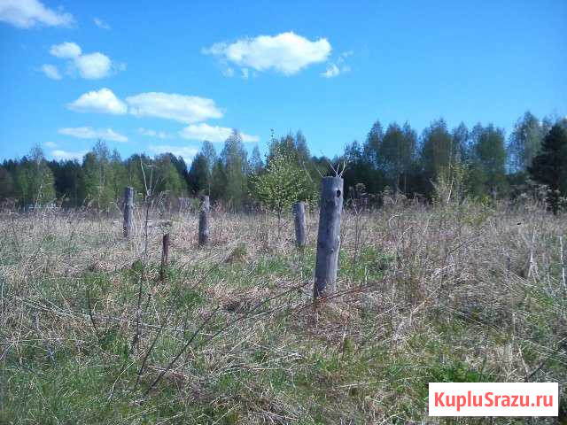 Участок ИЖС 19 сот. на продажу в Лысково Лысково - изображение 1