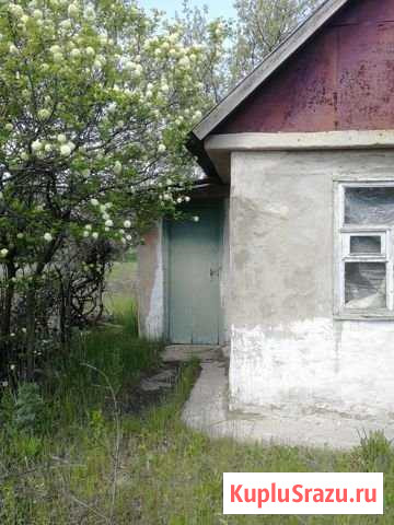 Дача 20 м² на участке 8.3 сот. на продажу в Белгороде Белгород - изображение 2