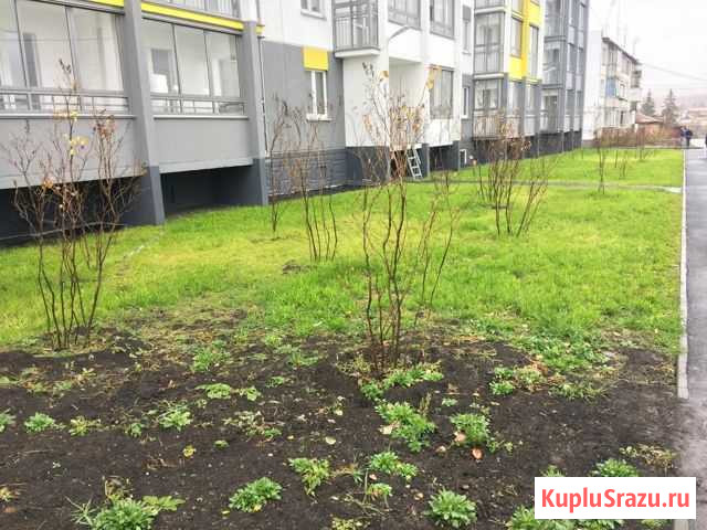 1-комнатная квартира, 34.2 м², 6/8 эт. на продажу в Долгодеревенском Долгодеревенское - изображение 3