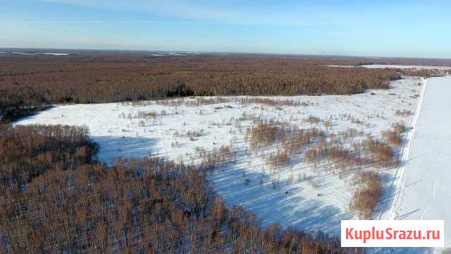 Участок СНТ, ДНП 3589 сот. на продажу в Ступино Ступино - изображение 1
