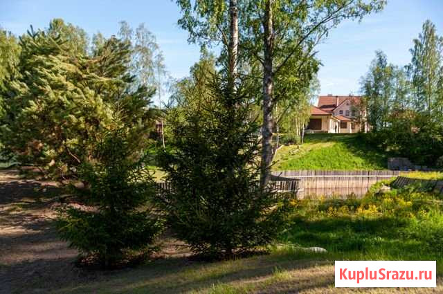 Участок СНТ, ДНП 18 сот. на продажу в Зеленогорске Ленинградской области Зеленогорск - изображение 1