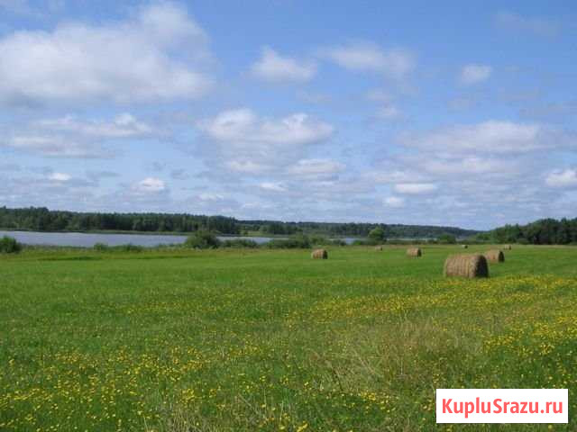 Участок СНТ, ДНП 10 сот. на продажу в Хохряках Хохряки - изображение 1