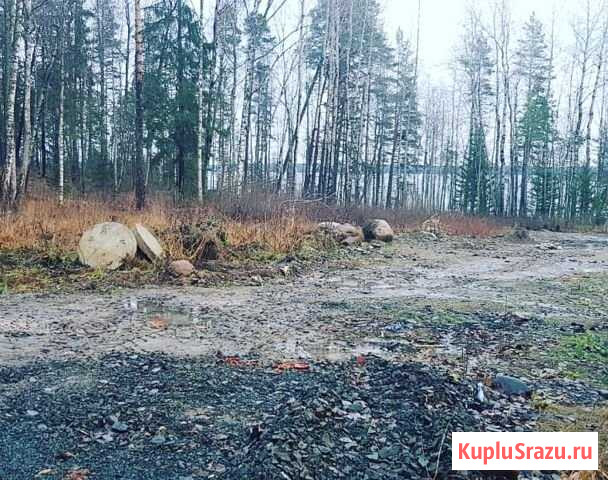Участок ИЖС 23 сот. на продажу в Шуе Республики Карелия Шуя - изображение 2