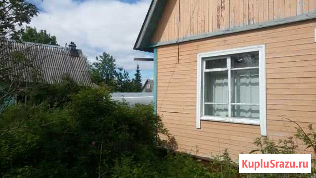 Дача 29 м² на участке 5 сот. на продажу в Архангельске Архангельск - изображение 1