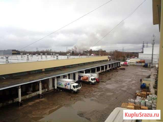 Складское помещение с пандусом, до 3000 кв.м. Пенза - изображение 3