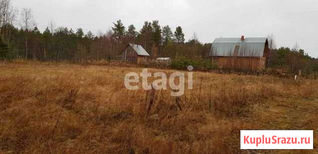 Участок СНТ, ДНП 12 сот. на продажу в Пряже Пряжа - изображение 1