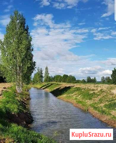 Участок СНТ, ДНП 6 сот. на продажу в Ярославле Ярославль - изображение 1