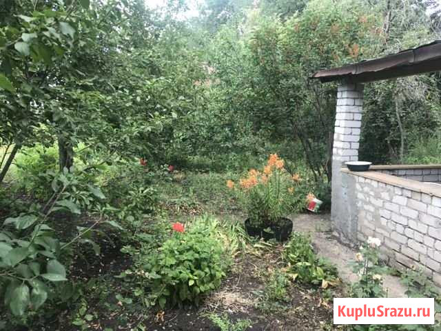 Дача 20 м² на участке 5 сот. на продажу в Самаре Самара - изображение 2