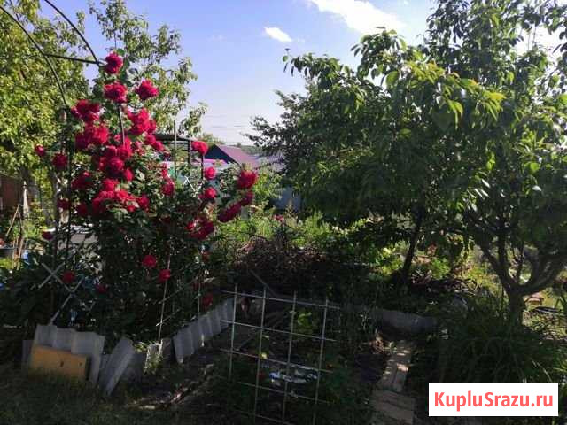 Дача 25 м² на участке 4 сот. на продажу в Казани Казань - изображение 1