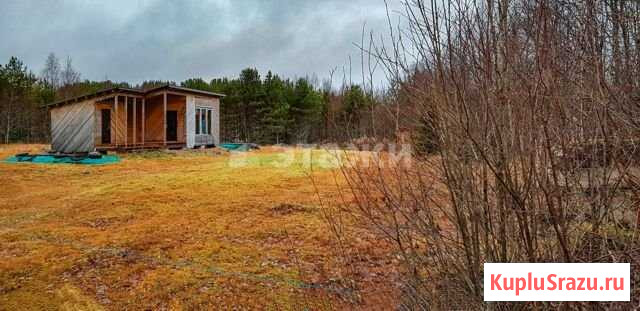 Участок СНТ, ДНП 15 сот. на продажу в Петрозаводске Петрозаводск - изображение 2