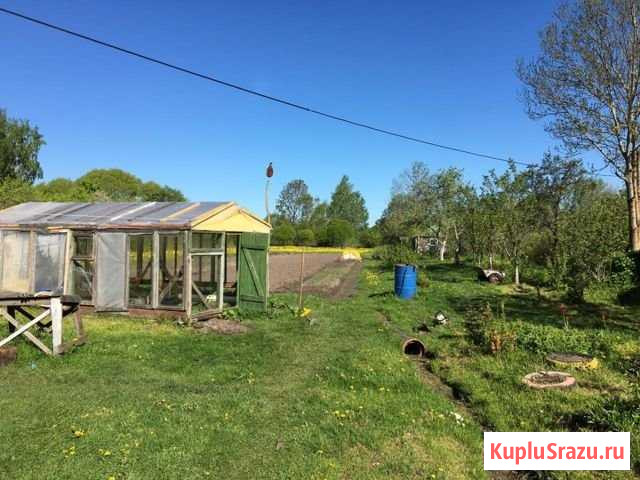 Дом 30 м² на участке 23 сот. на продажу в Шимске Шимск - изображение 3