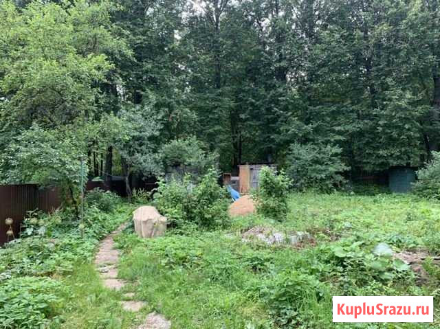 Дом 40 м² на участке 6 сот. в аренду на длительный срок в Софрино Софрино - изображение 1