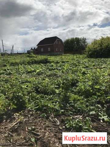 Участок ИЖС 16 сот. на продажу в Перми Пермь - изображение 3