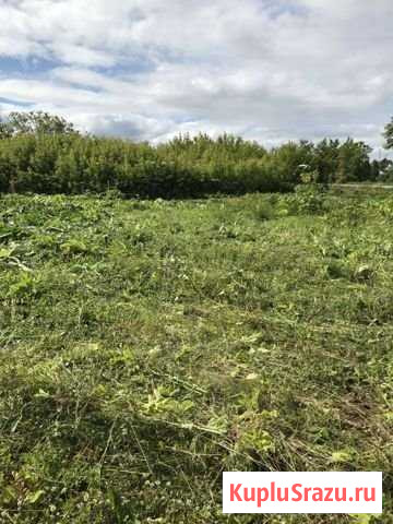 Участок ИЖС 16 сот. на продажу в Перми Пермь - изображение 2