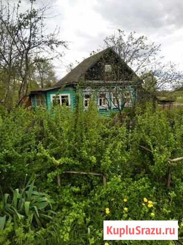 Дом 22 м² на участке 18 сот. на продажу в Данилове Данилов - изображение 2