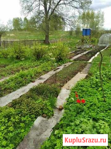 Дом 22 м² на участке 18 сот. на продажу в Данилове Данилов - изображение 3