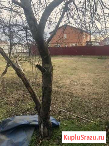 Участок ИЖС 7 сот. на продажу в Новотитаровской Новотитаровская - изображение 1