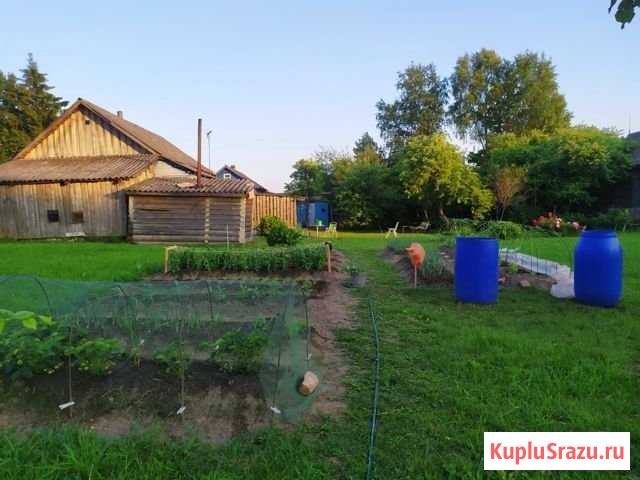 Дом 59 м² на участке 26 сот. на продажу в Любытино Любытино - изображение 2