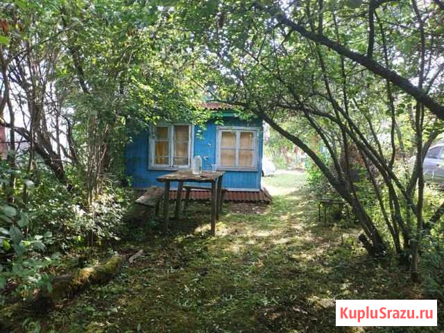 Дача 20 м² на участке 6 сот. на продажу в Заволжье Заволжье - изображение 1
