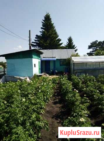 Дача 20 м² на участке 5 сот. на продажу в Ишиме Ишим - изображение 1