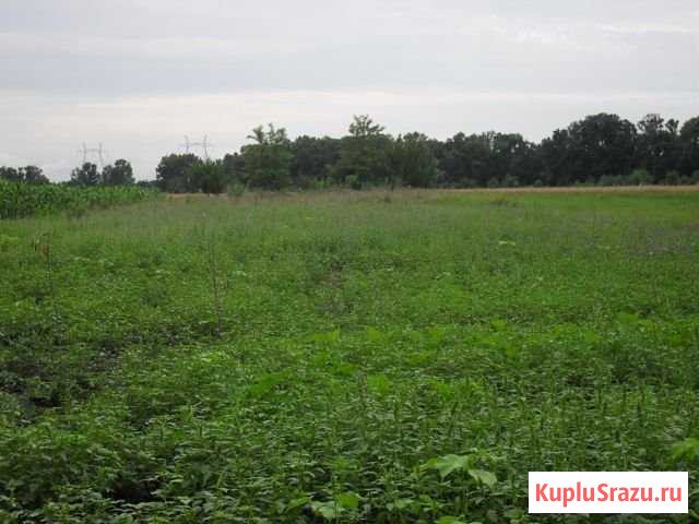 Участок ИЖС 30 сот. на продажу в Новокорсунской Новокорсунская - изображение 1